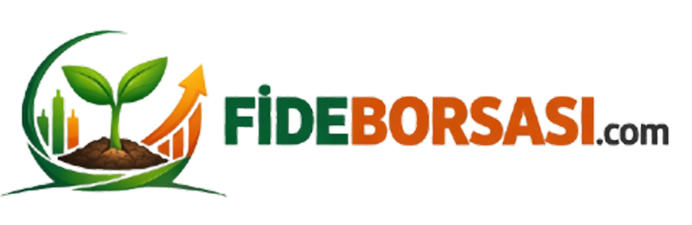 fideborsasi.com